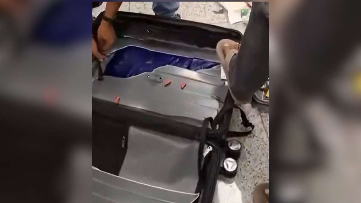 Hydroponic weed seized at Hyderabad airport