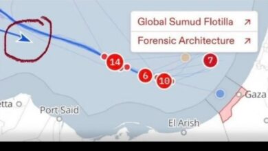 A Global Sumud Flotilla tracker map showing the Marinette vessel marked in blue as still sailing, while other vessels near Gaza are marked red as intercepted.