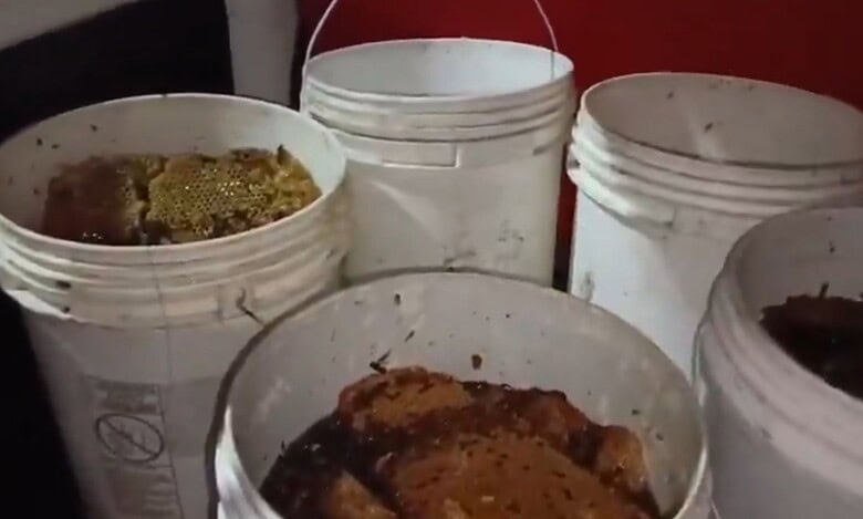 Adulterated honey racket busted in Hyderabad