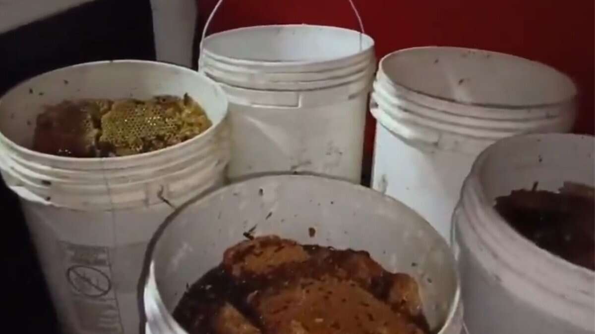 Adulterated honey racket busted in Hyderabad