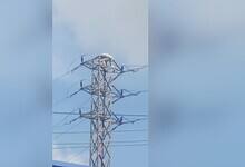 Man climbs electric pole in Hyderabad