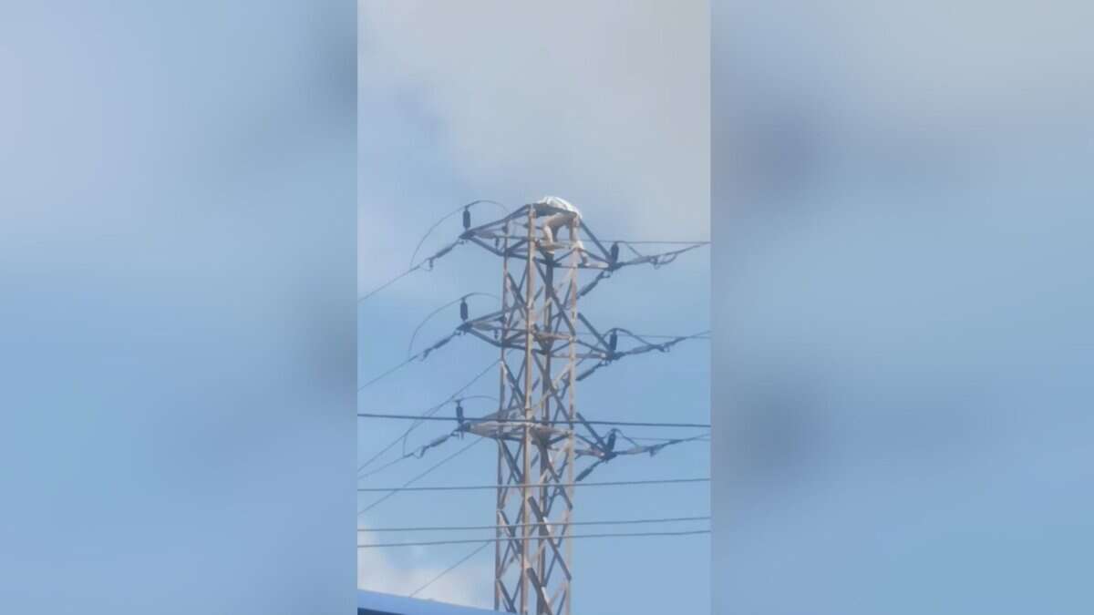 Man climbs electric pole in Hyderabad
