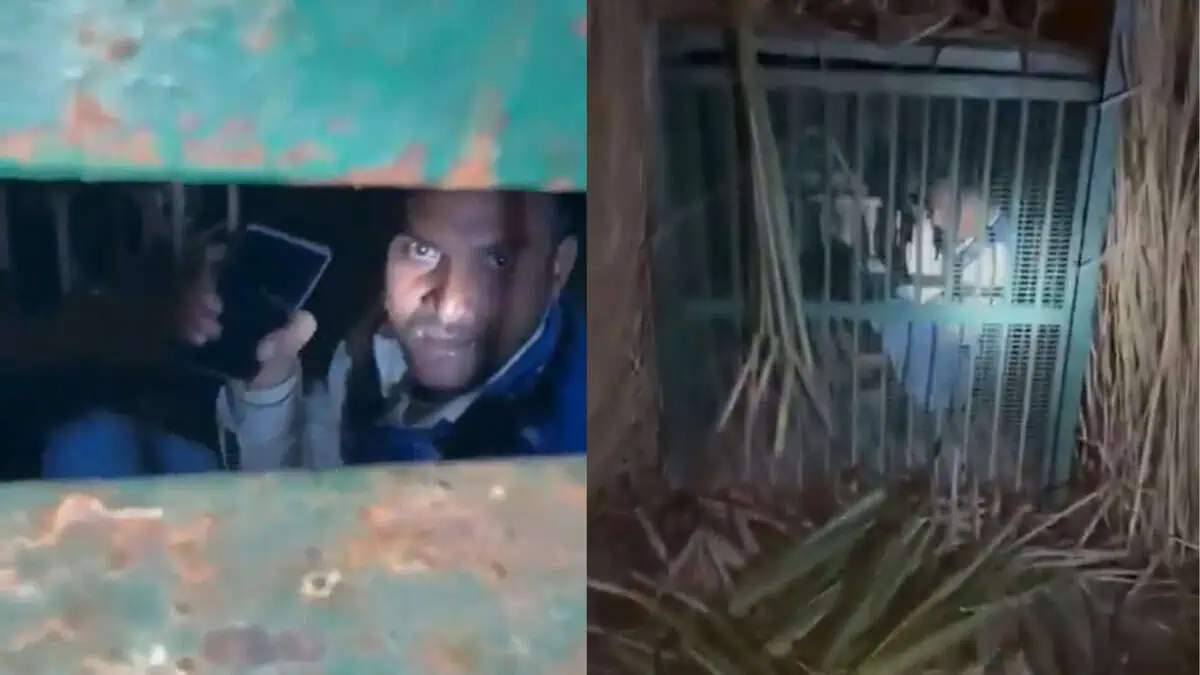 Drunk UP man stuck in Leopard cage