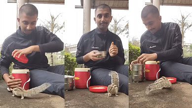 Man shares lunch with squirrels in an adorable moment