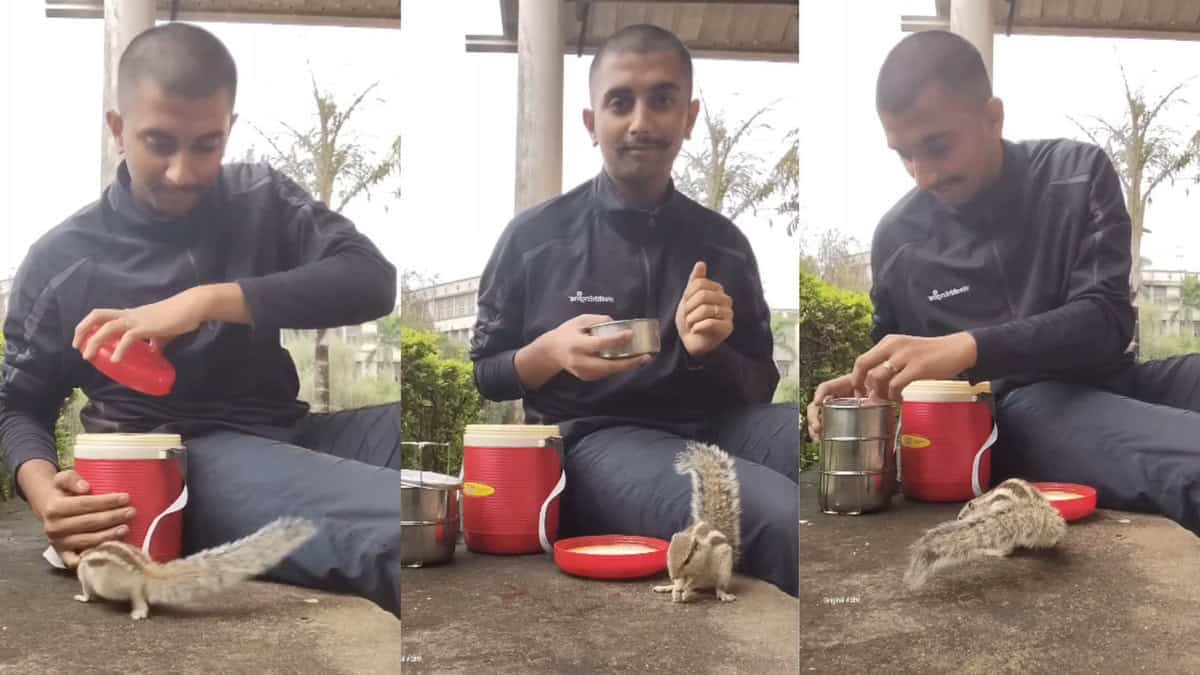 Man shares lunch with squirrels in an adorable moment