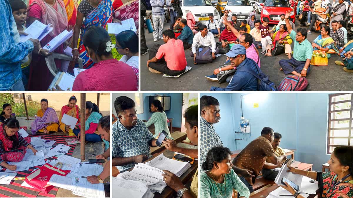 Nationwide SIR and BLOs deaths