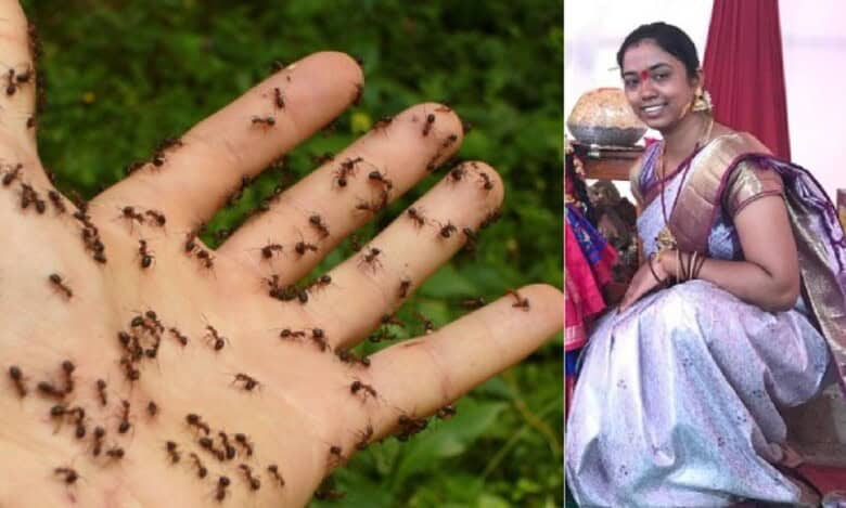 ants
