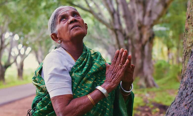 Saalumarada’ Thimmakka