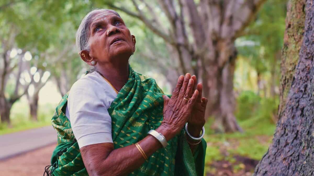 Saalumarada’ Thimmakka