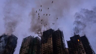 Birds fly over the burned buildings at the fire scene at Wang Fuk Court, a residential estate in the Tai Po district of Hong Kong's New Territories, Thursday. AP/PTI