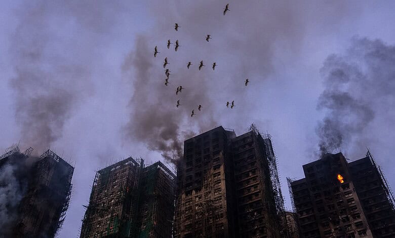 Birds fly over the burned buildings at the fire scene at Wang Fuk Court, a residential estate in the Tai Po district of Hong Kong's New Territories, Thursday. AP/PTI