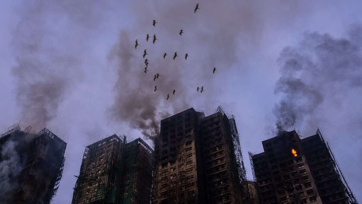 Birds fly over the burned buildings at the fire scene at Wang Fuk Court, a residential estate in the Tai Po district of Hong Kong's New Territories, Thursday. AP/PTI