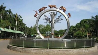 Nehru Zoological Park in Hyderabad