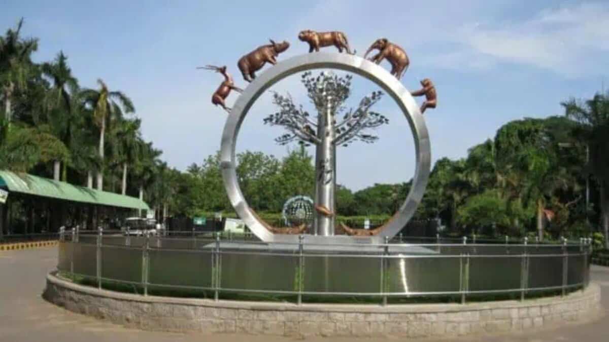 Nehru Zoological Park in Hyderabad