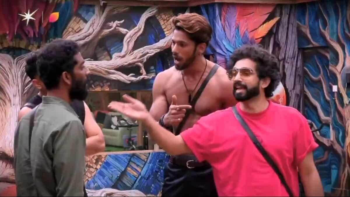 Bigg Boss 19 contestants