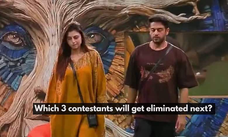 Bigg Boss 19 contestants Farrhana and Gaurav