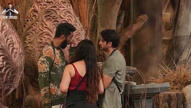 Bigg Boss 19 contestants