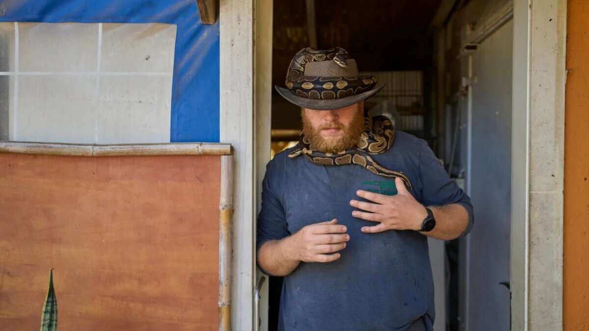 Israeli soldier takes part in animal therapy with a snake at the Back2Life farm in central Israel.