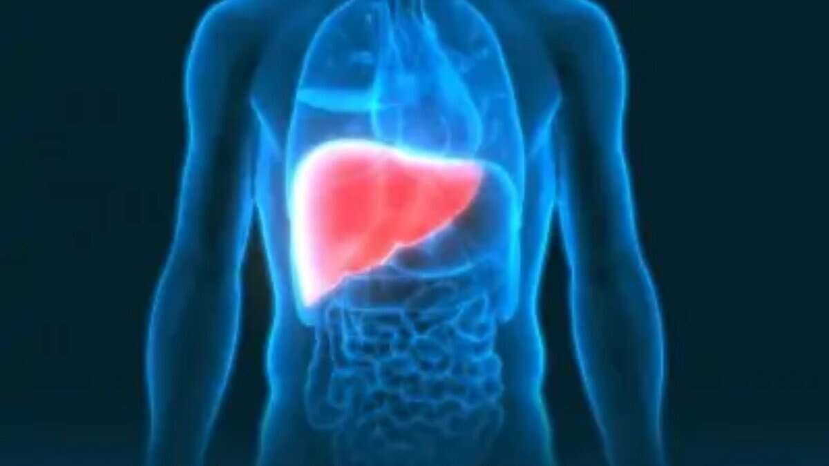 liver transplants