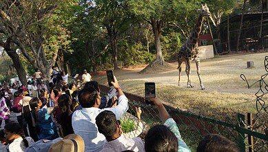 Hyderabad zoo