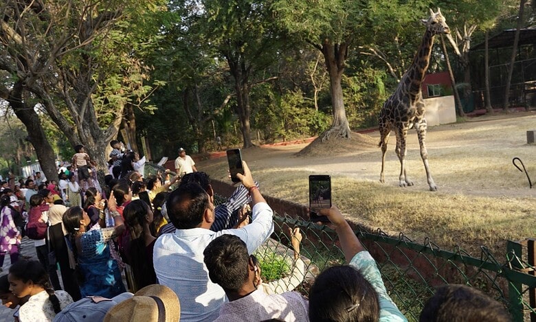 Hyderabad zoo