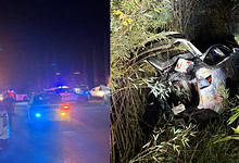 Indian origin man crashes Tesla, throws wine bottle at police in California