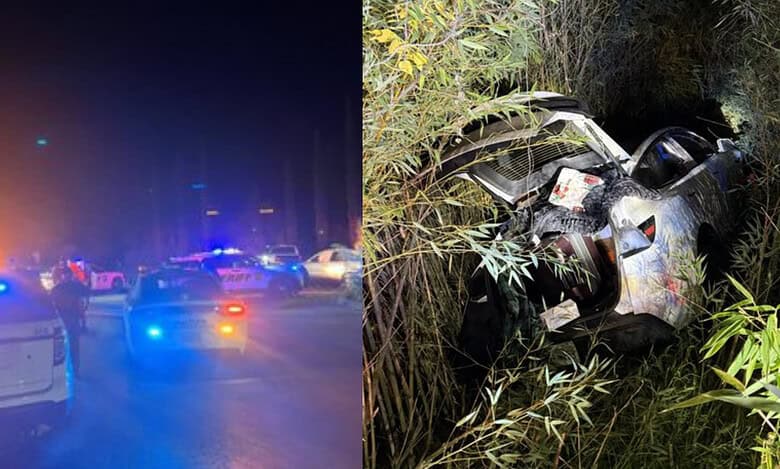 Indian origin man crashes Tesla, throws wine bottle at police in California
