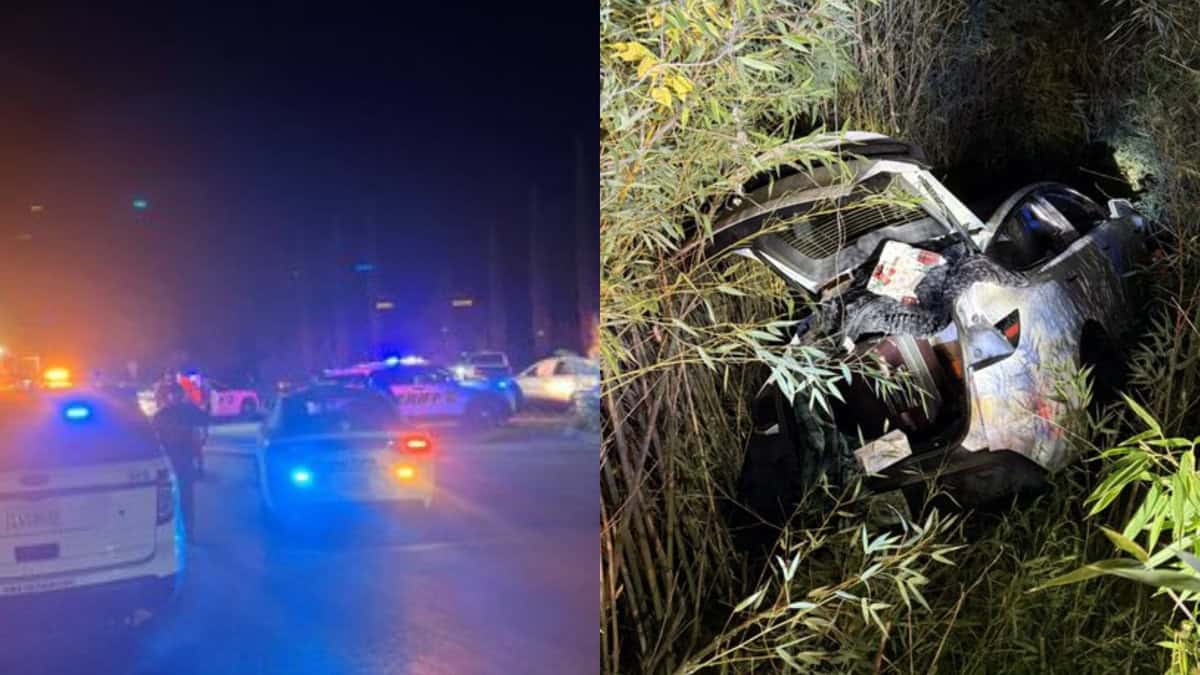 Indian origin man crashes Tesla, throws wine bottle at police in California