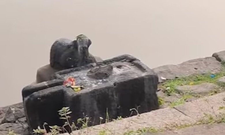 An shivalingam was vandalised at Draksharamam Bhimeswara Swamy Temple in Andhra
