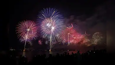 Colourful fireworks lighting up the night sky above a waterfront with spectators watching.