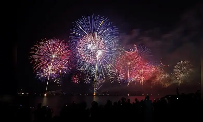 Colourful fireworks lighting up the night sky above a waterfront with spectators watching.