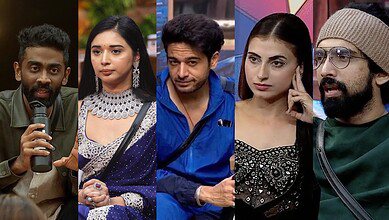 Bigg Boss 19 finalists