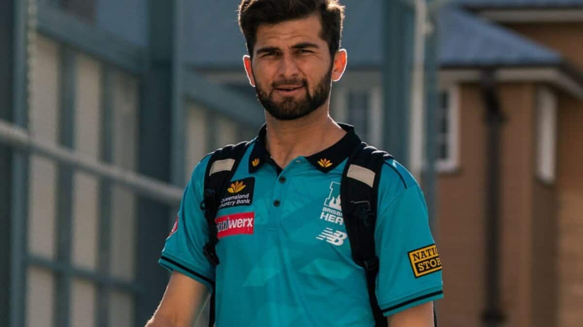 shaheen shah afridi