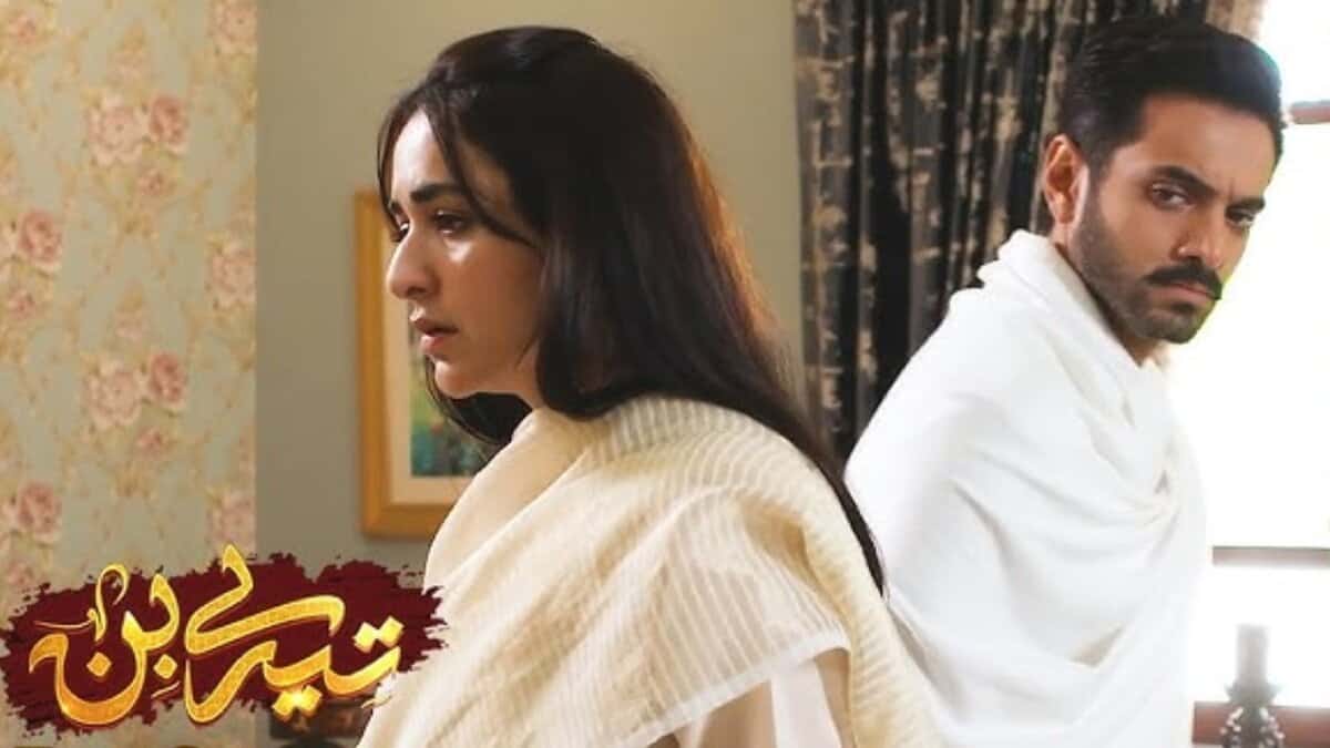 Tere Bin stars Wahaj Ali and Yumna Zaidi