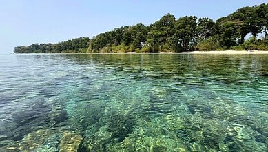 Image shows water and trees at Andaman and Nicobar Islands