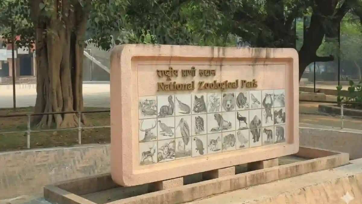 Delhi zoo