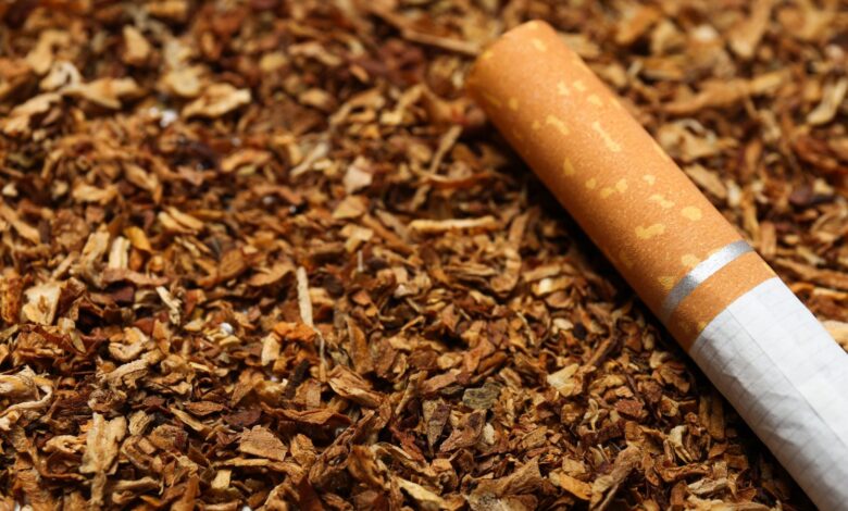 Tobacco