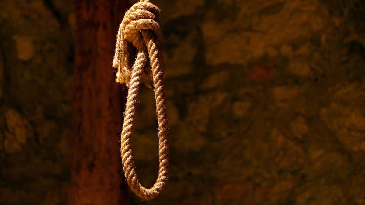 Suicide noose