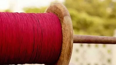 An image of Chine Manja used for representational image