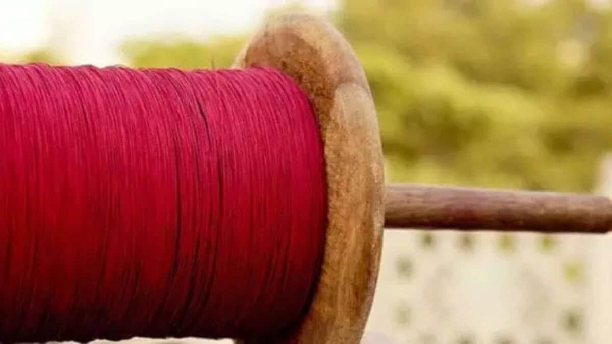 An image of Chine Manja used for representational image