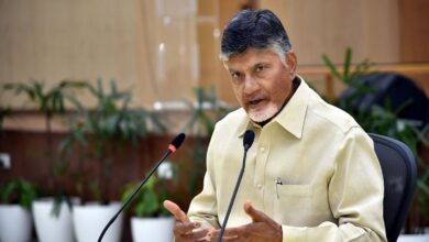 Andhra Pradesh Chief Minister N Chandrababu Naidu