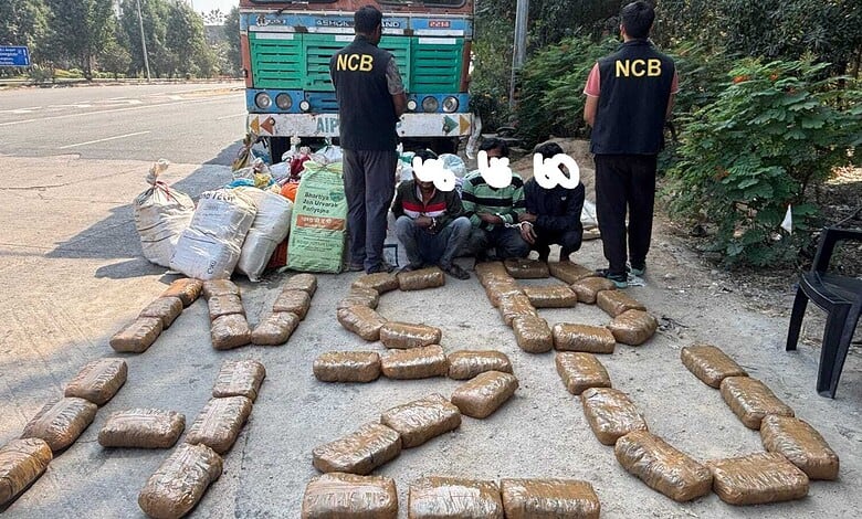 NCB seizes 813 kg ganja in Hyderabad