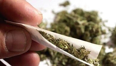 ganja