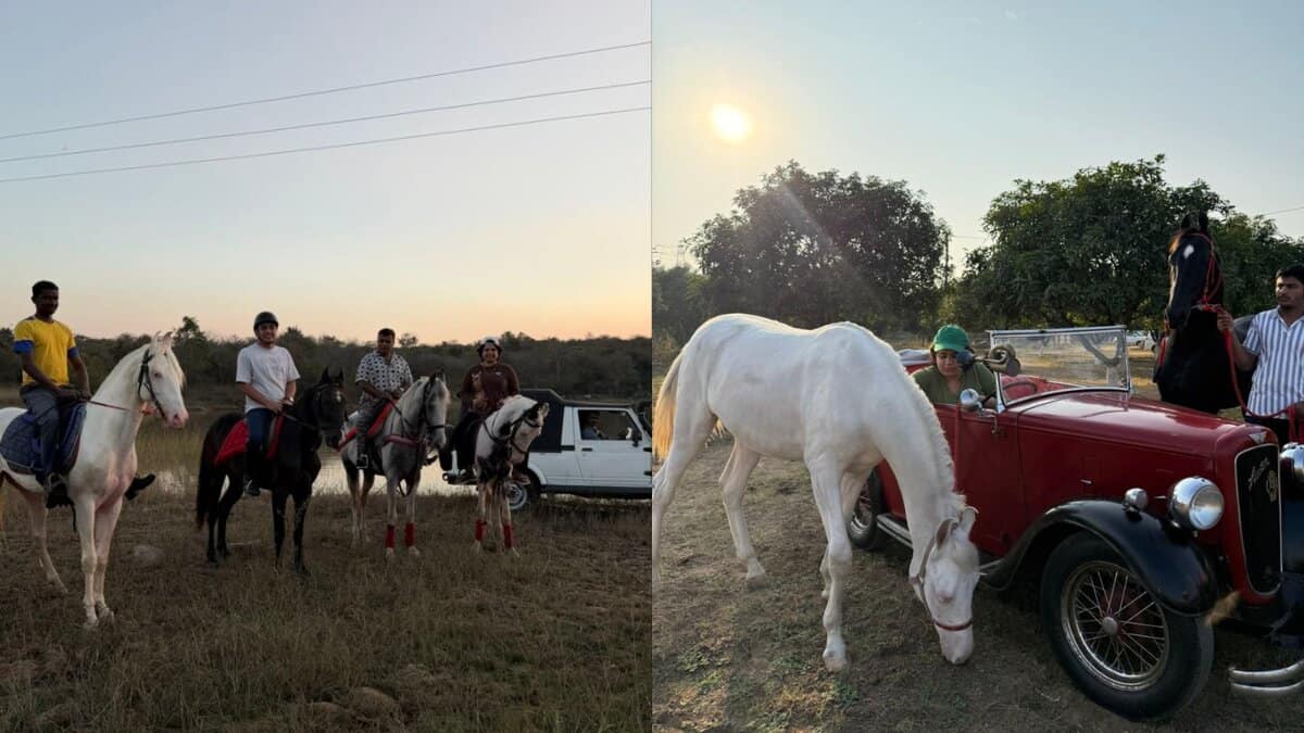 Glimpses of horse safari near Hyderabad