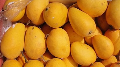 mangoes