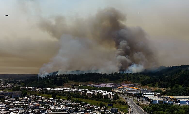 Chile wildfires