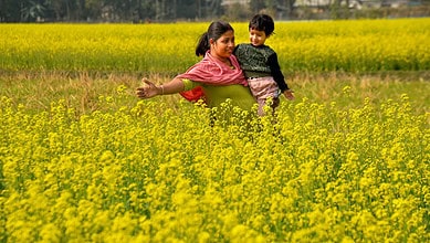 A woman with a child stroll in a mustard field, ahead of the presentation of the Union Budget 2026-27 by Union Finance Minister Nirmala Sitharaman, in Baksa, Assam