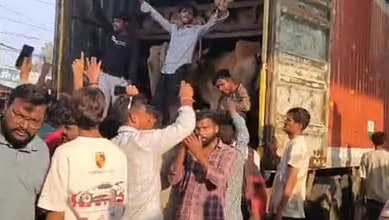 Cattle transporters assaulted by Gau Rakshaks during transport in Hyderabad, police remand issued.