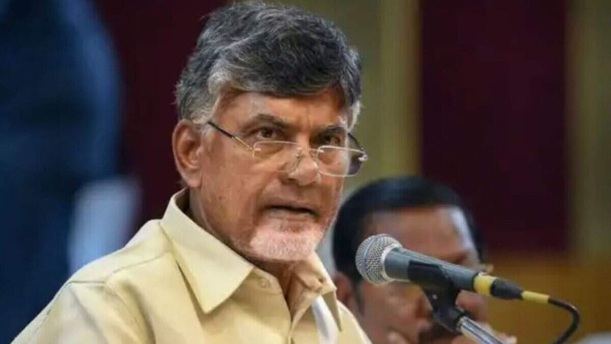 Andhra Pradesh Chief Minister N Chandrababu Naidu