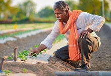 Farmers neglected by government